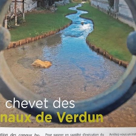 Au Chevet Des Canaux De Verdun Exteriör bild